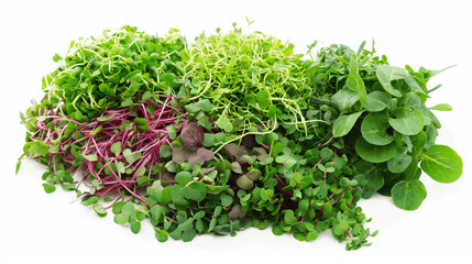 Obraz premium Mixed selection of vibrant microgreens with lush green and deep red hues. Ideal for organic cooking, nutritious vegan meals, and clean plant-based eating.