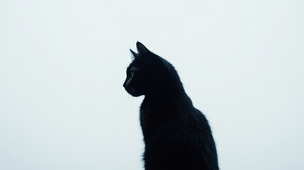 Obraz premium A silhouette of a black cat against a light background, emphasizing its distinctive features and sleek form.