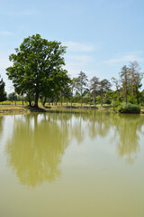 A tranquil lake in Erdody Park, Jastrebarsko, reflects the clear blue sky and the greenery of the surrounding trees