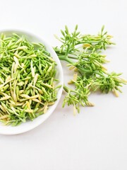 Uncooked papaya flower vegetables in a white plate on a white background. 
