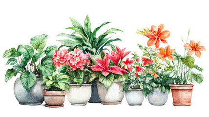 Fototapeta premium Colors and shapes blend harmoniously in a watercolor collection of houseplants displayed in various pottery containers