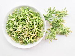 Bunch of uncooked papaya flower vegetables in a white plate on a white background.