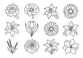 Flowers liner art set. Flowers vector bundle isolated on white background