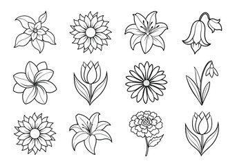 Flowers liner art set. Flowers vector bundle isolated on white background