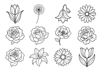 Flowers liner art set. Flowers vector bundle isolated on white background