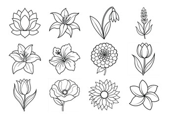 Flowers liner art set. Flowers vector bundle isolated on white background