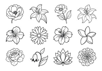 Flowers liner art set. Flowers vector bundle isolated on white background