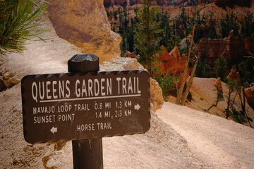 Trail in Bryce Canyon
