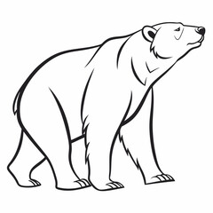 Simple a Bear line art vector design white background