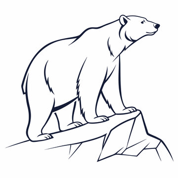 Simple a Bear line art vector design white background