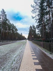 A wet, paved footpath through the village into the forest with a separated cycle lane and along a fence.