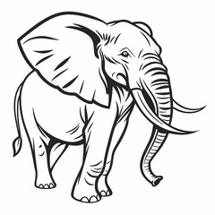 Simple a Elephant line art vector design white background