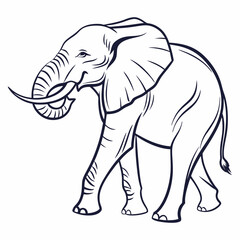Simple a Elephant line art vector design white background