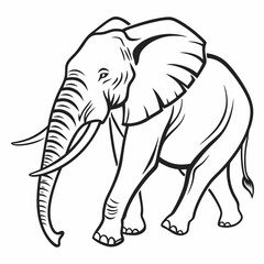 Simple a Elephant line art vector design white background