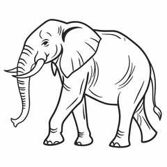 Simple a Elephant line art vector design white background