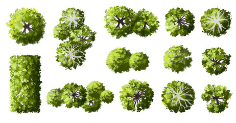 Vector set of Top view green tree for outdoor plan or map and architecture drawing, elements for environment and garden ,botanical elements ,Blooming flowers in spring,tropical plants element