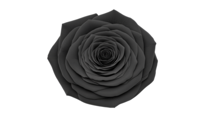 single black rose fully bloomed with deep dark petals, symbolizing elegance and mystery