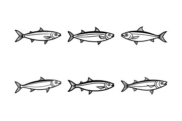 sardine fish design, labeled line art vector illustration.