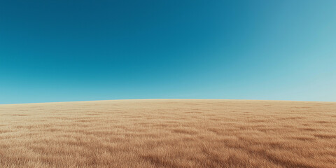 Fototapeta premium minimalist photo of grass meadow under blue sky