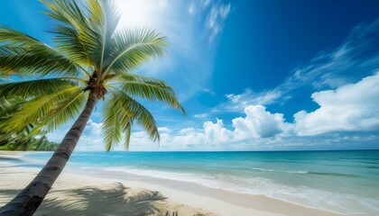 Obraz premium Palm tree on tropical beach with blue sky and white clouds abstract background. 