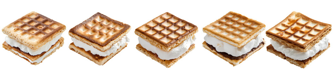 Delicious Toasted S'mores with Marshmallow and Chocolate – Classic Campfire Treats