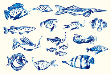 Crayon hand drawn set of various fishes. Doodle shapes. Cute sea pattern. Marine kids school background. Chalk sketch elements on white background. Vector illustrations