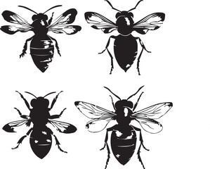 Set Bees. Hand drawn vector illustration	