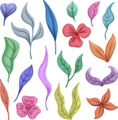 clip art watercolor illustration of colorful flowers petal and leaves for child daycare and nursery wallpaper