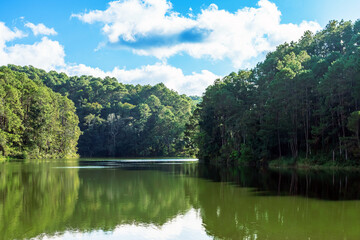 Beautiful destination nature lake and forest of Pang Oung lake and pine forest in Mae Hong Son, Thailand. Nature landscape. Environmental friendly outdoor activity and camping surrounded by valley.