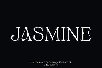 Elegant luxury feminine serif alphabet display font vector for branding