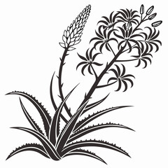 Bai sanicle vector silhouette black design white background