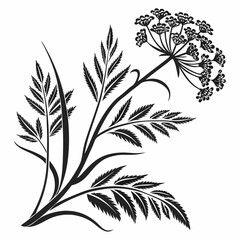 Bai sanicle vector silhouette black design white background