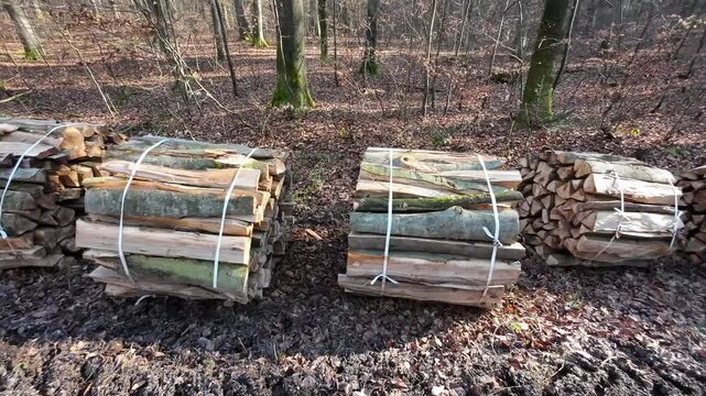 Geb&uuml;ndeltes Brennholz im Wald, Buchenholz, Hartholz, Heizmaterial, Kaminholz