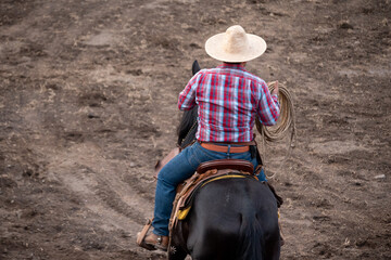 caballo