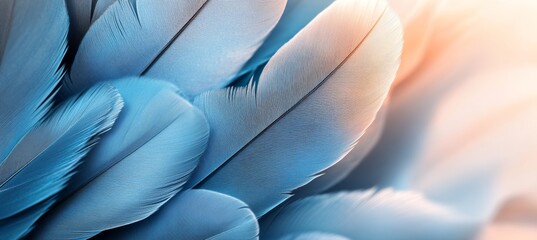 Light Blue Feathers, Soft and Delicate Texture, Overlapping Layers, Calming Color Palette
