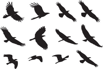 Variant style flat flying bird silhouette, vector birds silhouette illustration design, isolated on a white background.
