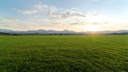 Obraz premium Sunset over green field, mountain range background (1)