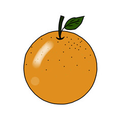 illustration of an apple