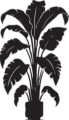 indoor plant tree victor design isolated on the white background.