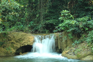 waterfall in the forest