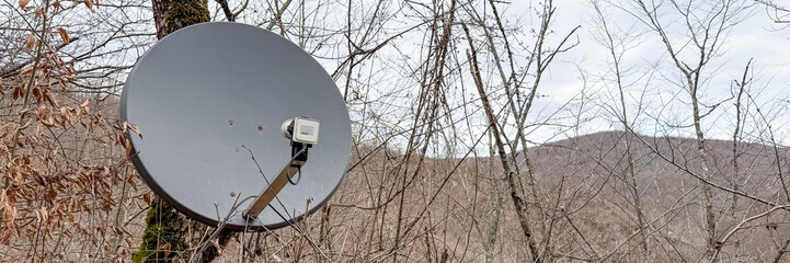 A satellite dish mounted on a tree amidst bare branches, symbolizing remote connectivity and...