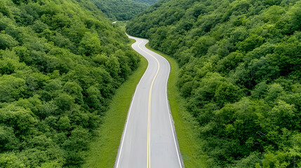 Obraz premium Winding road through lush green forest, aerial view