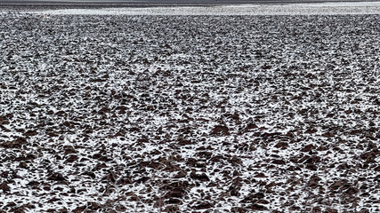 A vast, frost-covered field symbolizes the arrival of winter and highlights agricultural challenges due to extreme weather conditions