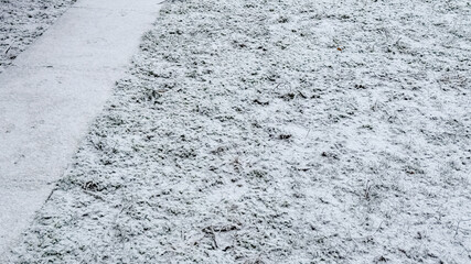 Snow-dusted grassy field beside a narrow concrete path, evoking winter tranquility and the serene beauty of the holiday season