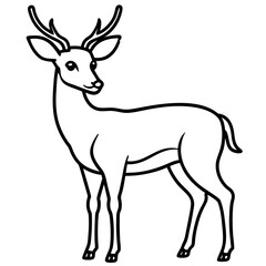 Fototapeta premium Deer Silhouette in Simple Line Art