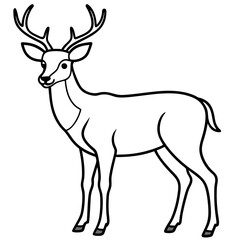 Deer Silhouette in Simple Line Art