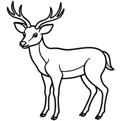 Deer Silhouette in Simple Line Art