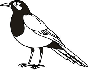 bird vector image 