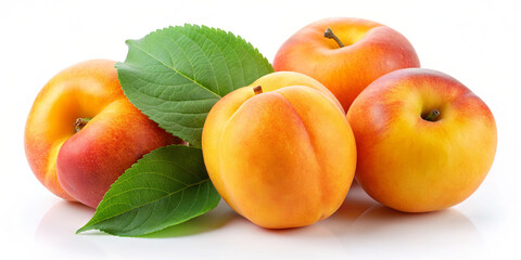 Five ripe apricots with a mix of orange and red hues are displayed alongside green leaves on a white background, highlighting their freshness and appeal for culinary uses