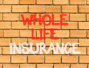 Whole life insurance symbol. Concept words Whole life insurance on beautiful brown brick wall....